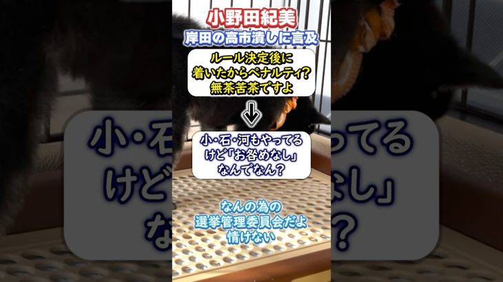 小野田紀美議員が岸田の露骨な高市早苗潰しに言及「ルール決定後に着いたからペナルティとか無茶苦茶」#shorts# #日本#政治