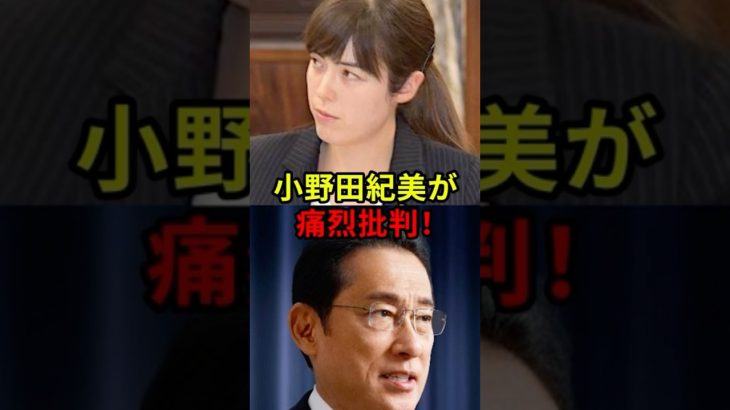 国益を考えない岸田に小野田紀美が激怒した理由 #shorts #岸田  #小野田紀美 #総裁選 #海外の反応