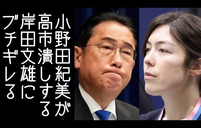 【自民党総裁選】小野田紀美・高橋洋一・渡邉哲也らが岸田総理の高市早苗潰しに反論する【改憲君主党チャンネル】