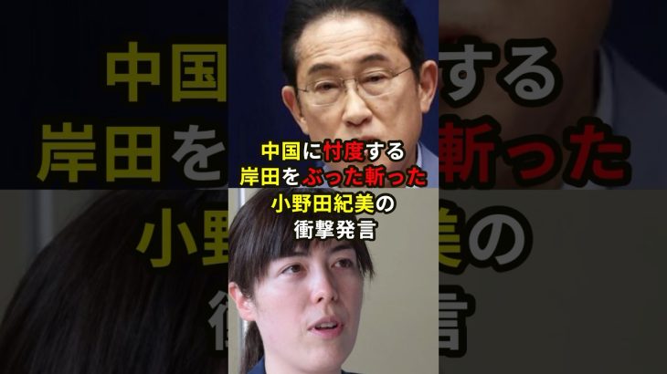 中国に忖度する岸田をぶった斬った小野田紀美の衝撃発言！？#ニュース #雑学