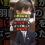 小野田紀美が羽田次郎の揚げ足取りをぶった斬った衝撃発言！？【海外の反応】