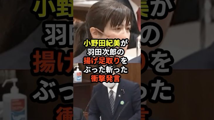 小野田紀美が羽田次郎の揚げ足取りをぶった斬った衝撃発言！？【海外の反応】