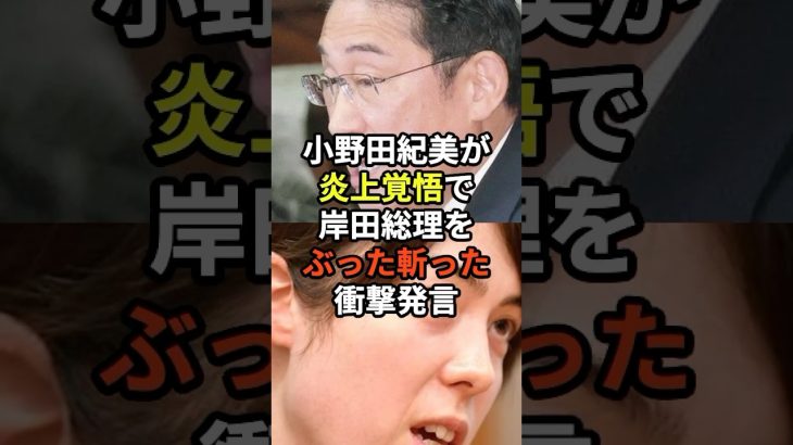 小野田紀美が炎上覚悟で岸田総理をぶった斬った衝撃発言【海外の反応】