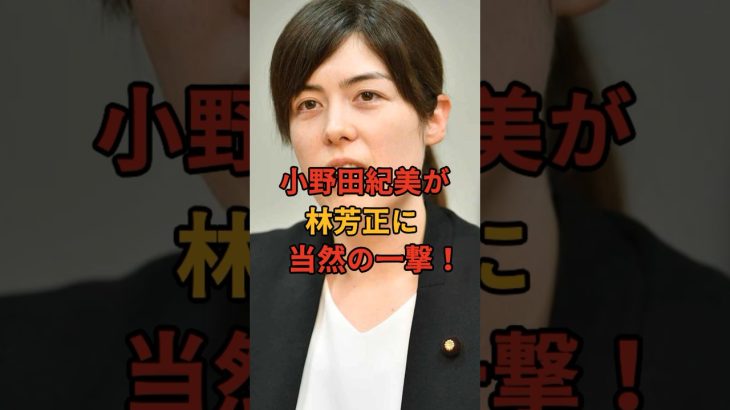 【今すぐやれ！】小野田紀美が林芳正の不甲斐ない声明に問答無用、当然の一撃を喰らわす！