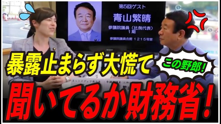 【青山繁晴×小野田紀美】言葉切り取られるのが嫌なら、国会議員なんてなるな！人気議員同士の対談白熱！【東京都知事選/安芸高田市/石丸市長】