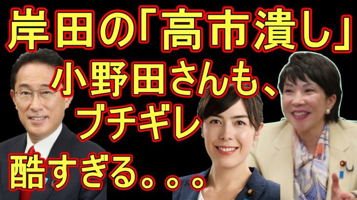 岸田の”高市潰し”小野田紀美さんもブチギレ！「酷すぎる。。。何でもありの妨害工作」