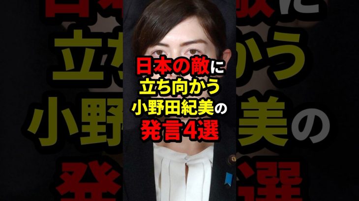 日本の敵に立ち向かう小野田紀美の発言4選 #小野田紀美 #海外の反応 #wcjp