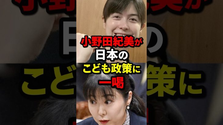 小野田紀美が日本のこども政策に一喝 #小野田紀美 #海外の反応 #wcjp