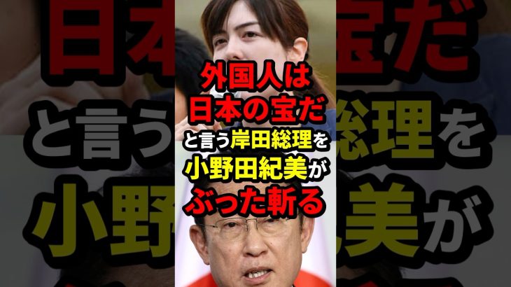 外国人は日本の宝だと言う岸田総理を小野田紀美がぶった斬る #小野田紀美 #海外の反応 #wcjp