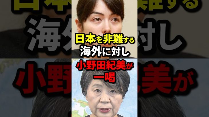 日本を非難する海外に対し小野田紀美が一喝 #小野田紀美 #海外の反応 #wcjp