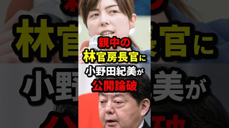 親中の林官房長官に小野田紀美が公開論破 #小野田紀美 #海外の反応 #wcjp