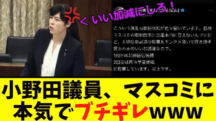 【衝撃】小野田議員、「週刊誌」にブチギレwww