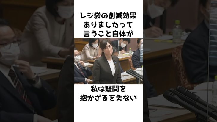 【小野田紀美】これって何の意味があるの？〜レジ袋削減の闇をぶった斬る小野田紀美〜【小野田紀美議員のエピソード32】