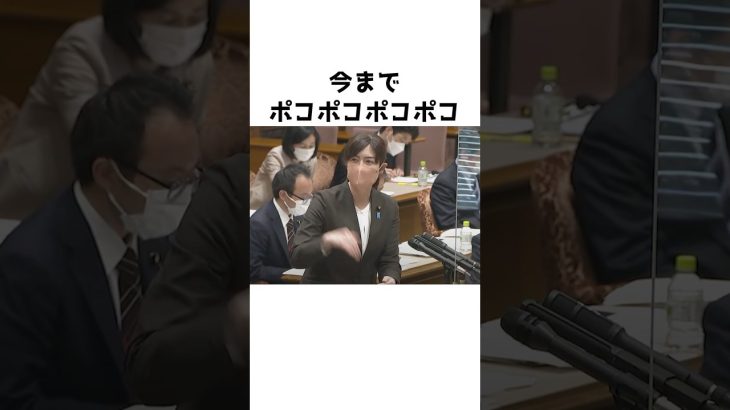 【小野田紀美】色んなクレームを超えてまでやるべきことだったんですか！？〜プラスチック削減政策、割り箸は悪と言う風潮にメスを入れる〜【小野田紀美議員のエピソード33】