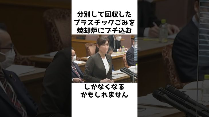 【小野田紀美】本当に意味あるの？〜プラスチックごみの分別について語る〜【小野田紀美議員のエピソード35】