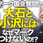 N党参議院議員、浜田聡氏に訊く！裏金マーク国会質問！？いつもの朝日系にTBSと日テレ系は！？大石と小沢にはなぜマークつけないの！？参院選へ向けた話も聞いてみました！｜上念司チャンネル ニュースの虎側