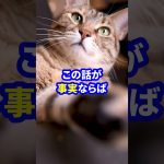 【最近の話題】石丸伸二がバカな政治家にキレる！？　#shorts