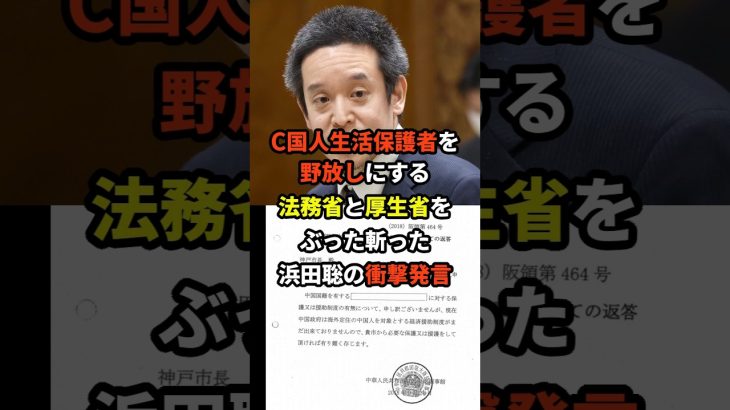 浜田聡「法務省と厚生省はこの事実を隠しているんです！」 #海外の反応