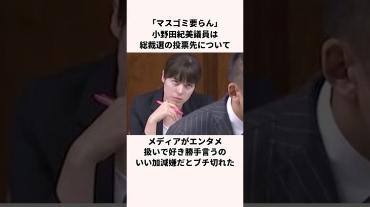 「マスゴミ要らん」小野田紀美議員についての雑学