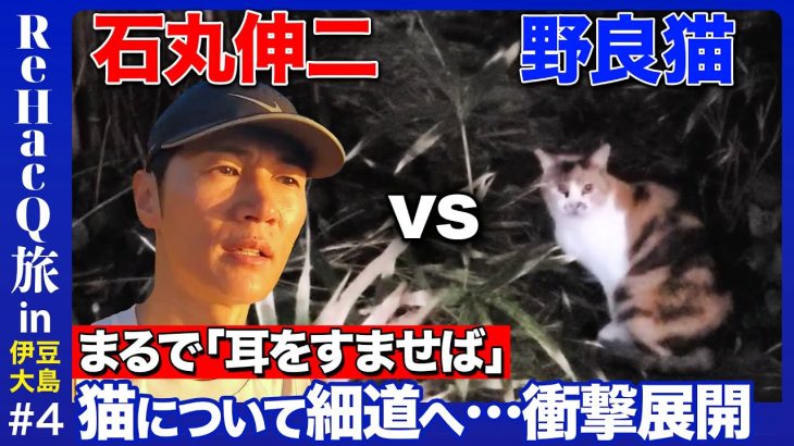 【石丸伸二vs野良猫】東京の離島！「伊豆の踊り子」舞台の漁港で…まさかの展開【ReHacQ旅】