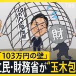 “玉木包囲網”を自民・立民・財務省が？不倫問題が追い打ちに！どうなる「103万円の壁」議論【news23】｜TBS NEWS DIG