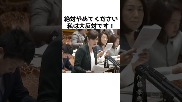 【小野田紀美】児童手当の闇をぶった斬る小野田議員〜私は大反対です〜【小野田紀美議員のエピソード37】