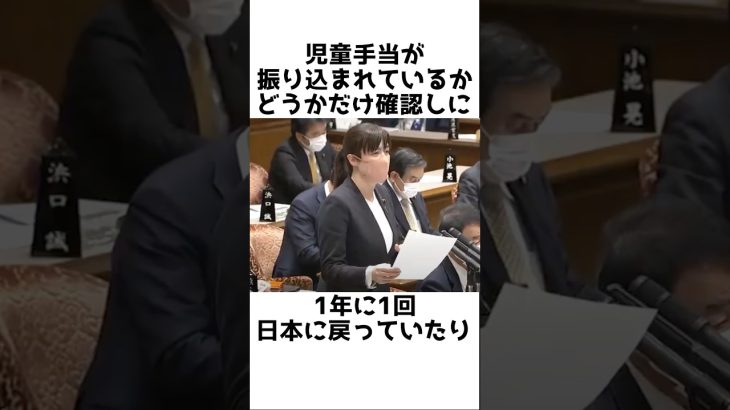 【小野田紀美】永住資格の継続的な確認制度について言及〜日本では世界的に見てありえません〜【小野田紀美議員のエピソード43】