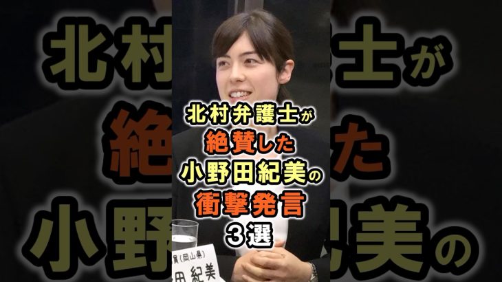 【小野田紀美】北村弁護士が絶賛した小野田紀美の発言３選｜小野田紀美議員のエピソード76 #雑学 #shorts