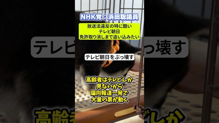 NHK党の浜田聡議員がテレビ朝日の放送免許取り消しを提案【日本/政治/放送法違反/ぶっ壊す】#shorts