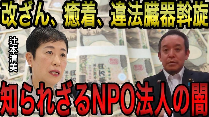 【浜田聡】法を犯しながら大金を貪るNPO法人…/悪夢の民主党政権で生まれたNPO制度/多くの政党はNPOと癒着している？【浜田聡切り抜き】