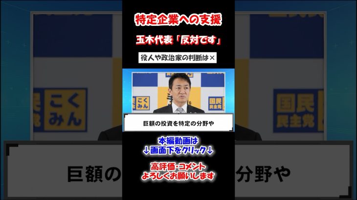 特定企業への支援に対する玉木代表「反対です」