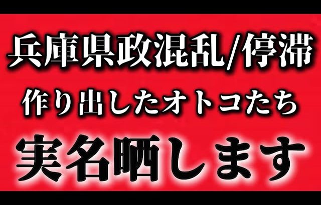 斎藤元彦氏氏を陥れた犯人を公開【浜田聡　切り抜き】