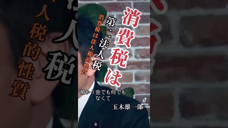 消費税は第二法人税【玉木雄一郎切り抜き】#玉木雄一郎