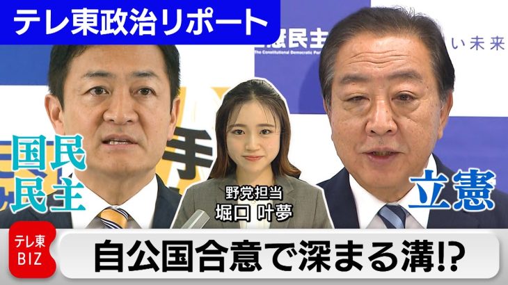 異例の自公国合意で深まる溝！？…参院選に向けて野党共闘は？【テレ東政治リポート】