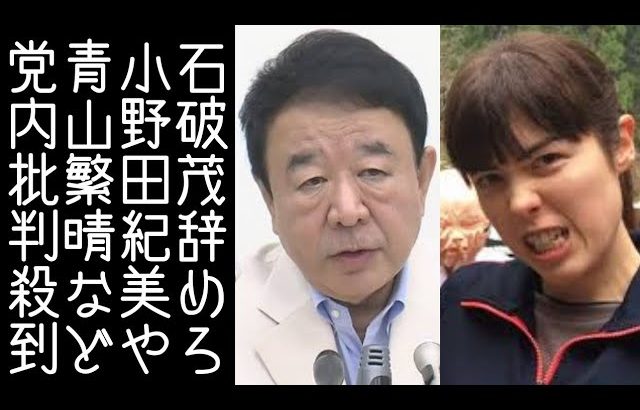 【小野田紀美｜青山繁晴】総理のイスにしがみつく石破茂に自民党内部から辞めろと批判が相次ぐ【改憲君主党チャンネル】