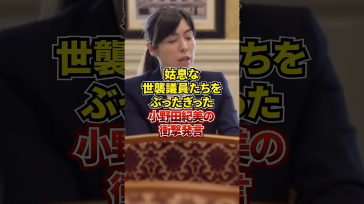 小野田紀美「やり方が姑息ですね」