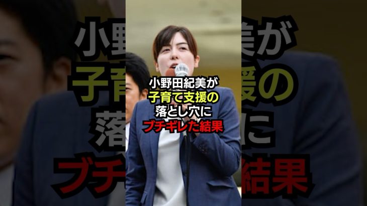 小野田紀美子育て支援の落とし穴ブチギレた結果