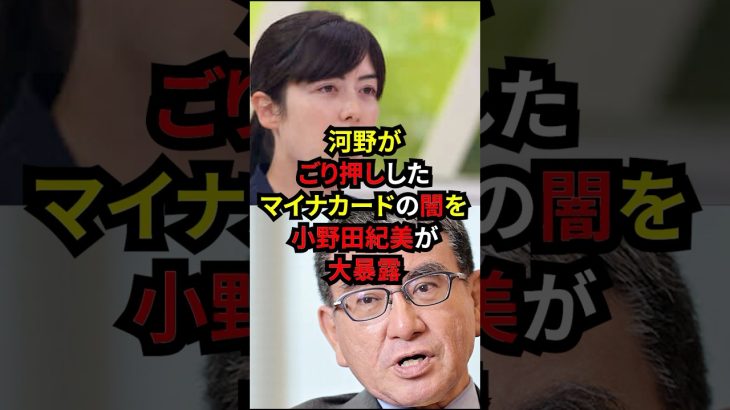 河野がゴリ押ししたマイナカードの闇を小野田紀美が大暴露#政治 #雑学