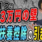 103万円の壁 特定扶養控除の年収要件額を引き上げ 学生バイトもっと働ける! 玉木雄一郎が解説