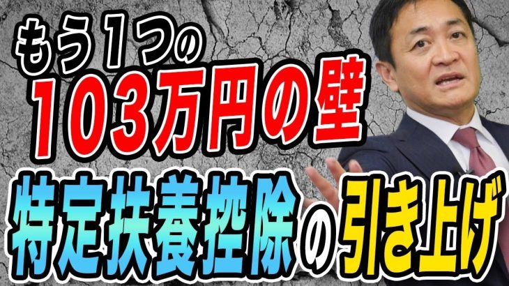 103万円の壁 特定扶養控除の年収要件額を引き上げ 学生バイトもっと働ける! 玉木雄一郎が解説