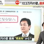 【解説】玉木代表「話にならない」103万円の壁撤廃は再来年？「増税は爆速なのに」ネットの声　2025年分から実施の可能性は