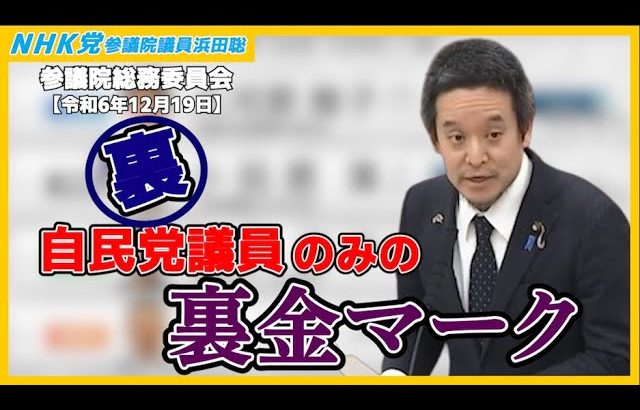 拉致問題と土井たか子、106万円の壁撤廃は詐欺？、兵庫県知事選挙とマスコミ報道の問題点、等について質問　参議院総務委員会2024年12月19日（木）