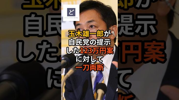 玉木雄一郎が自民党の提示した123万円案に対して一刀両断 #年収の壁 #国民の敵 #SMバー #政治 #国民民主党 #shorts