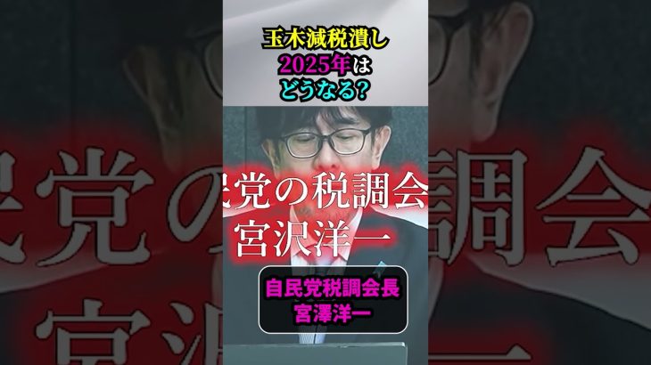 【 玉木減税潰し／三橋貴明 】2025年は、どうなるのか？／年明けにあの国民の敵が「玉木減税潰し」をさらに加速させる