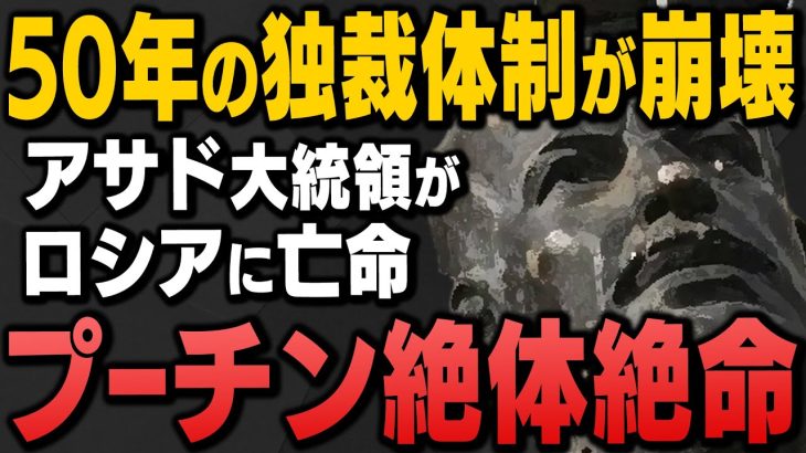 【そもそも何が起きていた？】｢シリア政権崩壊でアサド大統領がロシアに亡命｣N党の浜田聡議員と田北真樹子さん、阿比留瑠比さんが解説してくれました