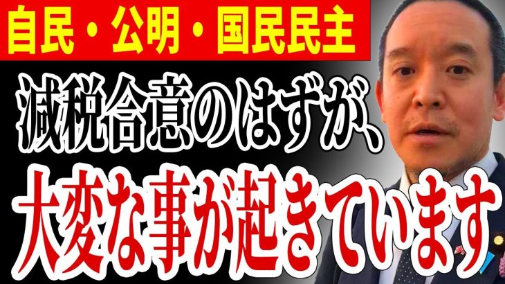 【浜田聡】減税と見せかけて、大変なことが起きています…【NHK党 浜田聡 玉木雄一郎 さとうさおり 井川意高 国民民主党】