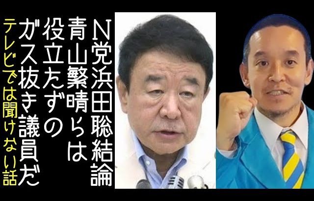 【高橋洋一｜立花孝志】NHK党・浜田聡が青山繁晴らは自民党のガス抜き要員だと結論付ける【改憲君主党チャンネル】