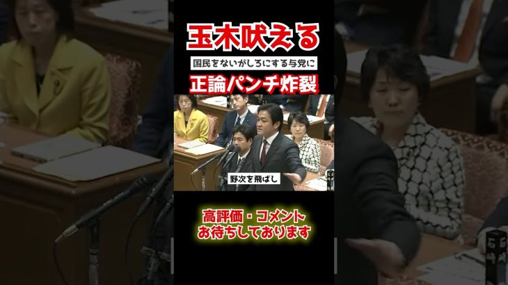 【玉木雄一郎】玉木の発言に周囲も拍手。国民のため、与党と必死に戦う。 #shorts  #政治 #国会中継