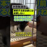 【共感】浜田聡氏「増税する政治家には、絶対に投票しない、が当たり前になるといい」#shorts