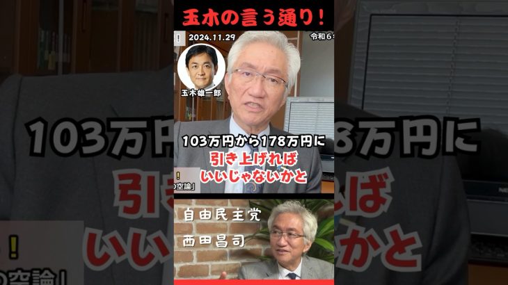 【西田昌司】玉木雄一郎の言う通り！#shorts #short #ショート #西田昌司 #自由民主党 #自民党 #立憲民主党 #玉木雄一郎